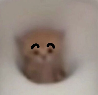 可爱搞笑小猫