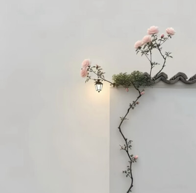 简约花朵背景