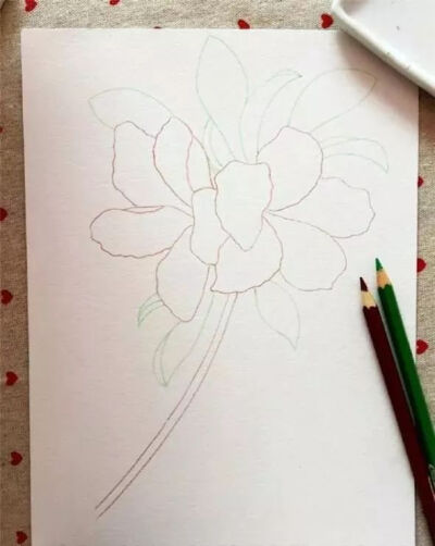 第一步先把杜鹃花的基本轮廓给描绘出来，在这里可以直接选择彩铅笔来起形，可以选择红色跟绿色的彩铅笔来绘画，其中红色的彩铅画画出杜鹃花的花瓣跟花茎，然后再使用绿色把杜鹃花的叶子画出来，但是在画的时候，需要…