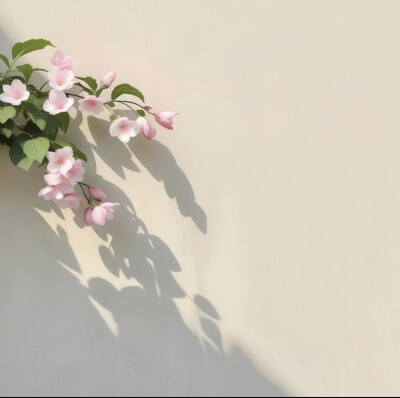 简约花朵背景