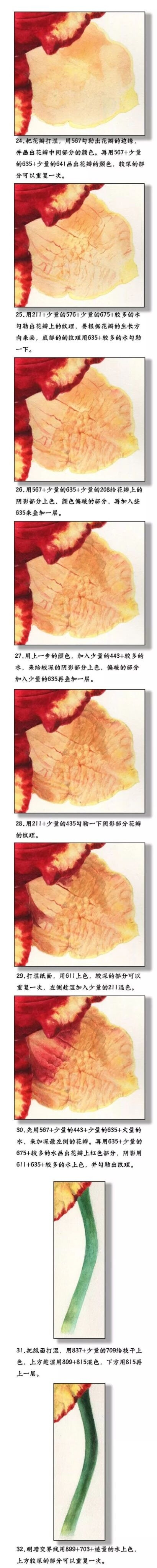 萱草