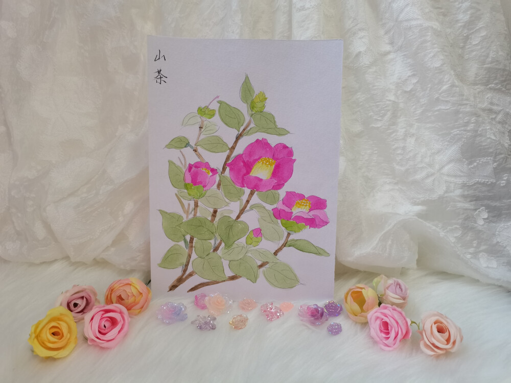 17 玫红山茶（绘画 | 水彩 | 果花甘03）
2018.06
“桔林独秀染胭脂，不使群芳次第窥。月桂殷勤来并色，江梅寂寞许同时。”山茶艳丽，玫红色山茶更艳丽。
山茶花有一个很惊悚的别名，叫断头花，来源一说是以年轻女孩自刎而亡的悲剧爱情故事，一说是花凋落的方式——山茶花凋落时，硕大的花朵连同花萼整朵跌落在泥土中，很多人说，真像人头落地，于是起了一个如此惊悚的名称。
山茶花决绝，爱我者永存，失我者永失。“既然我保持不了辉煌，那让辉煌与我死去。”虽然悲伤，也是挺有气节的，又何必起一个如此惊悚的名称。