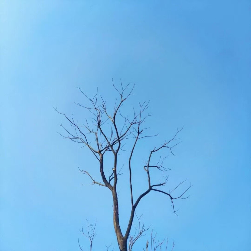 SHARE-简约背景图