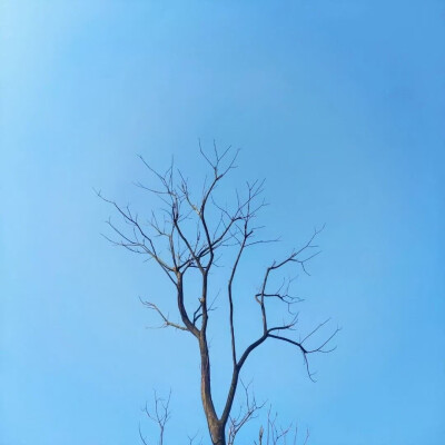SHARE-简约背景图