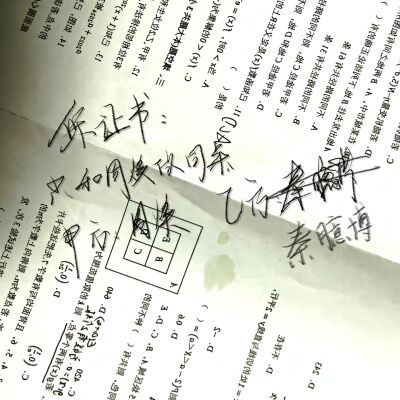 孙艳＆秦臆博 臆艳为定
周焕＆秦臆博 焕然臆新
张琦 & 秦臆博 臆式琦份
杨雨晨&秦臆博 臆晨不染
刘玉宁&秦臆博 玉臆何为