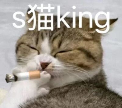 表情包
图片来源于网络 侵删