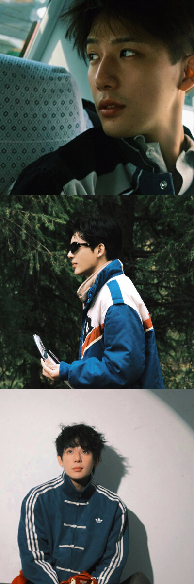 王安宇