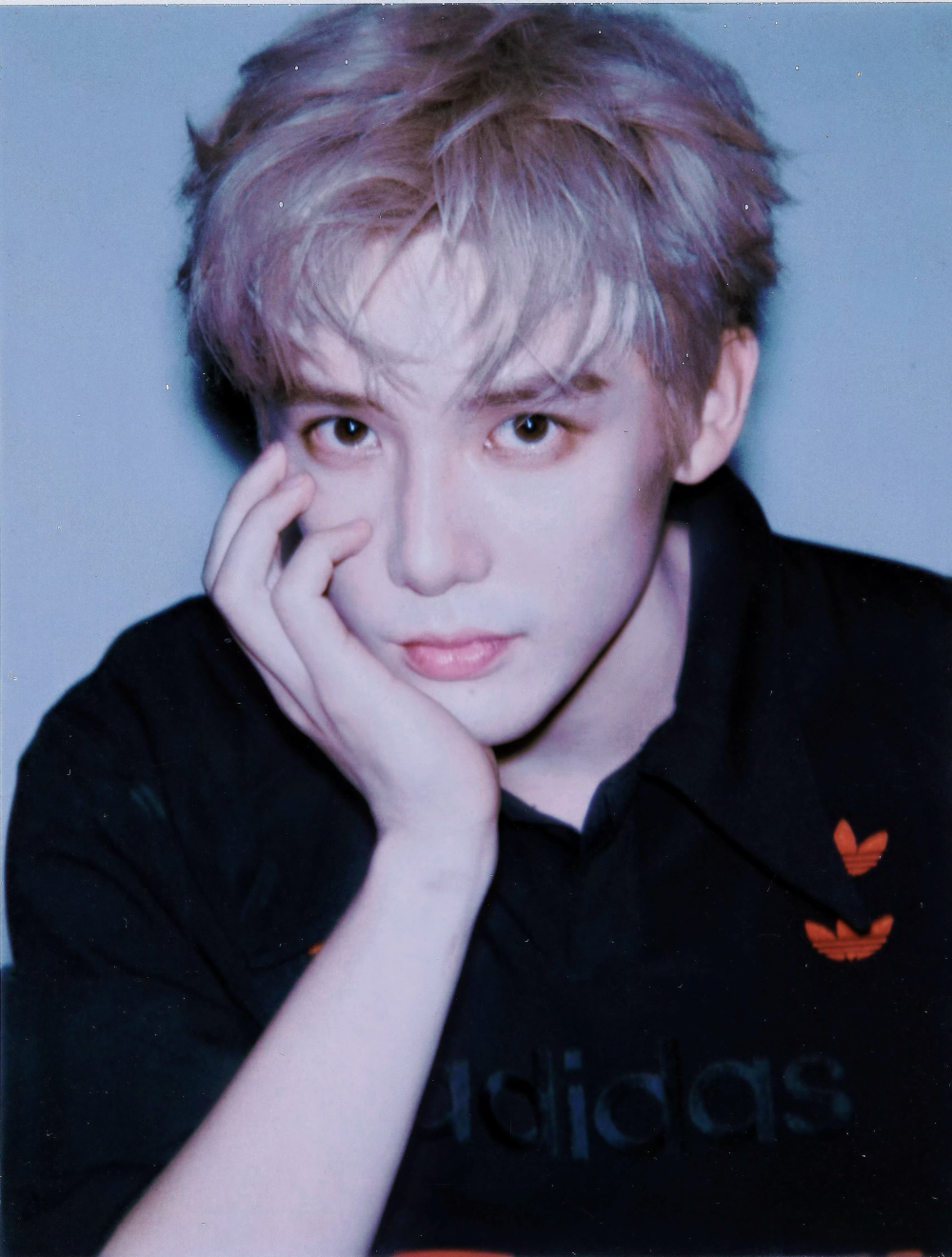 王安宇