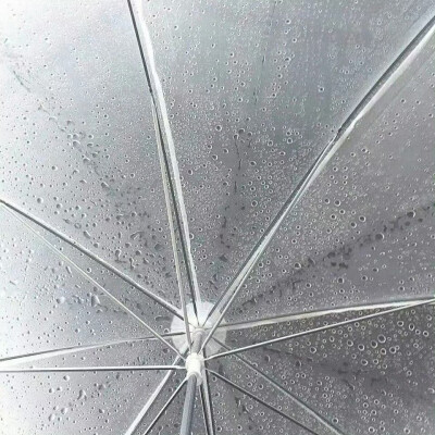 SHARE-简约背景图