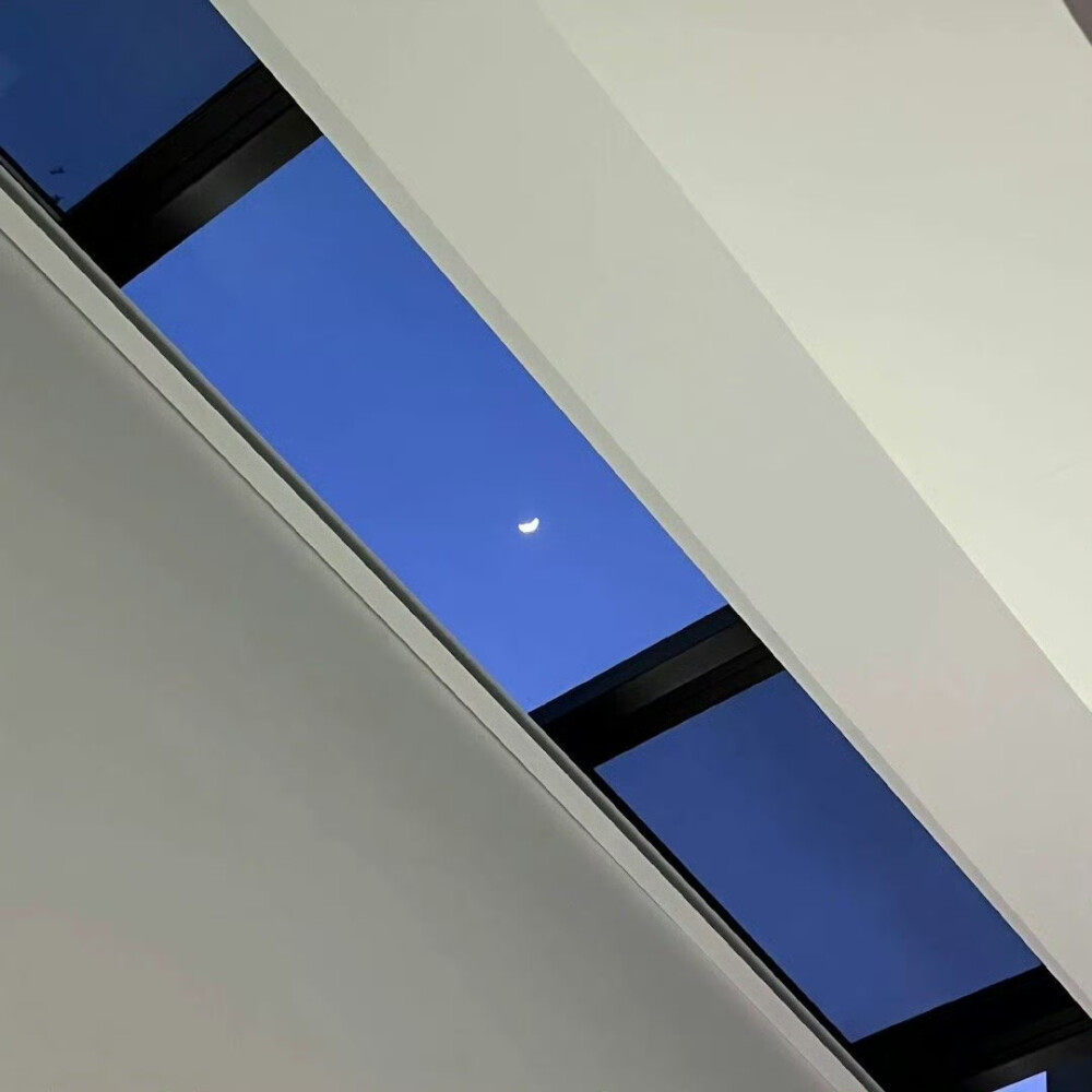 SHARE-简约背景图