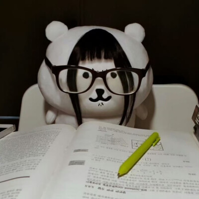 学习自嘲熊