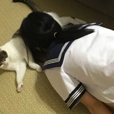 小裤头