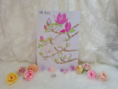 18 木莲·玉兰（绘画 | 水彩 | 果花甘03）
2018.6.24
木兰/木莲，玉兰，是很相似的花。木莲花如其名，像小小的荷花盛放在枝头，木兰有的花瓣更加细长，有的花形饱满，而玉兰花开满树，繁盛高洁，玉雪莹润。
见过粉…