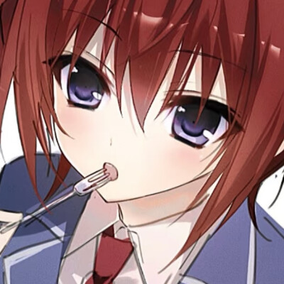 司