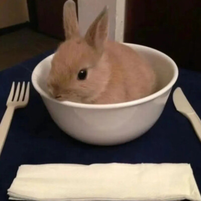 小裤头
