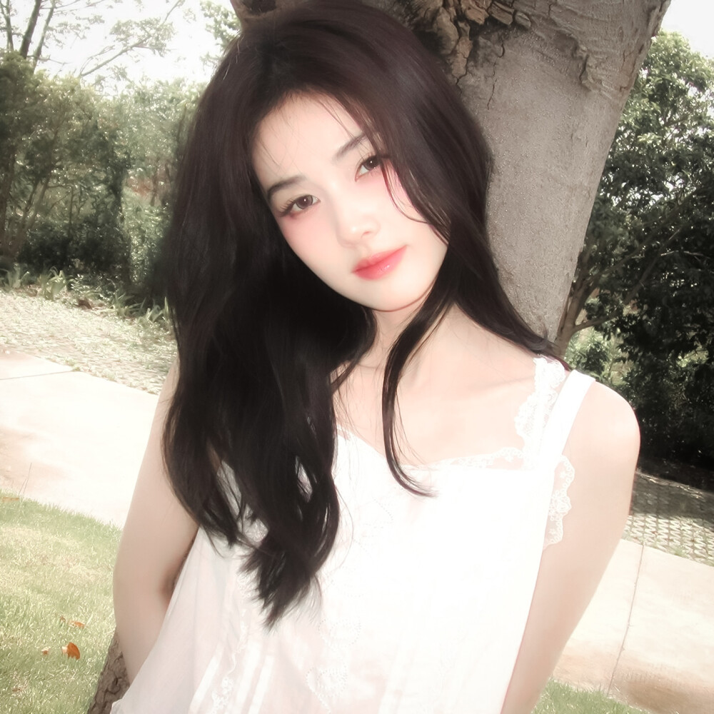 白鹿