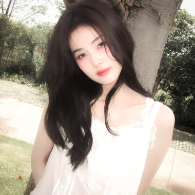 白鹿