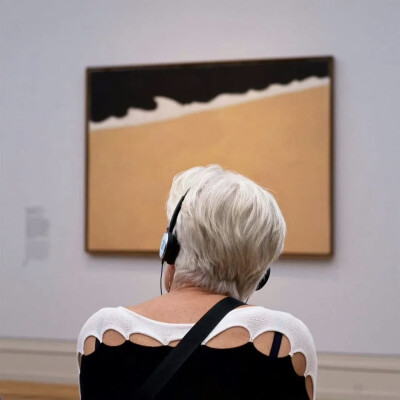 奥地利摄影师 ：Stefan Draschan（b.1979）在他的系列作品《People Matching Artworks》中耐心地等待着那些无意中与他们正在观察的艺术品最匹配的博物馆参观者，并拍下了这一有趣的巧合。