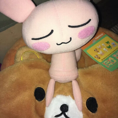 (>﹏<)