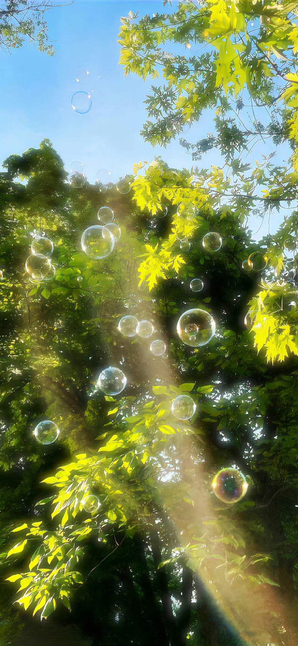 氛围感绝美壁纸