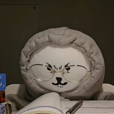 学习自嘲熊
