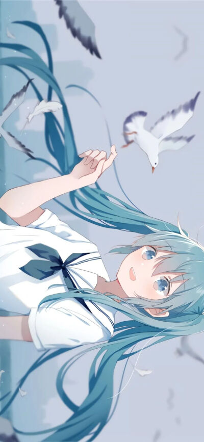 初音未来鸭鸭鸭！！！！