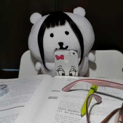 学习自嘲熊