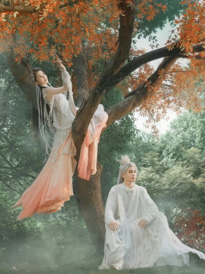 临江仙 李青月×白九思