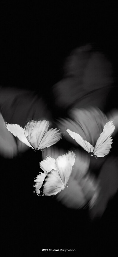 手机壁纸 平铺壁纸