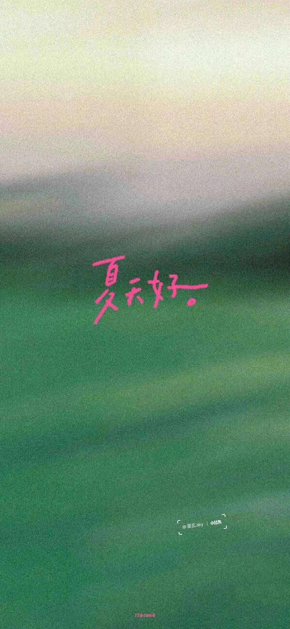 夏天清爽壁纸