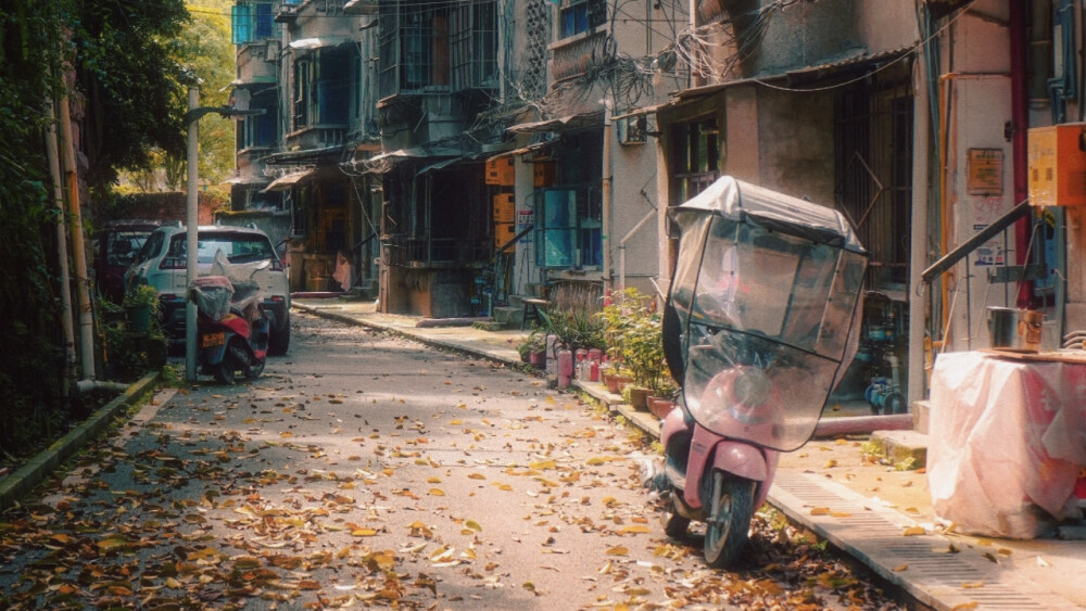 千禧年·年代·素材.橙光
禁二传，可二改
使用请标注:莫小言
礼貌拿图
侵删（原图来源网络）