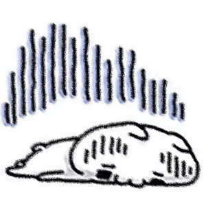 可爱星球♡