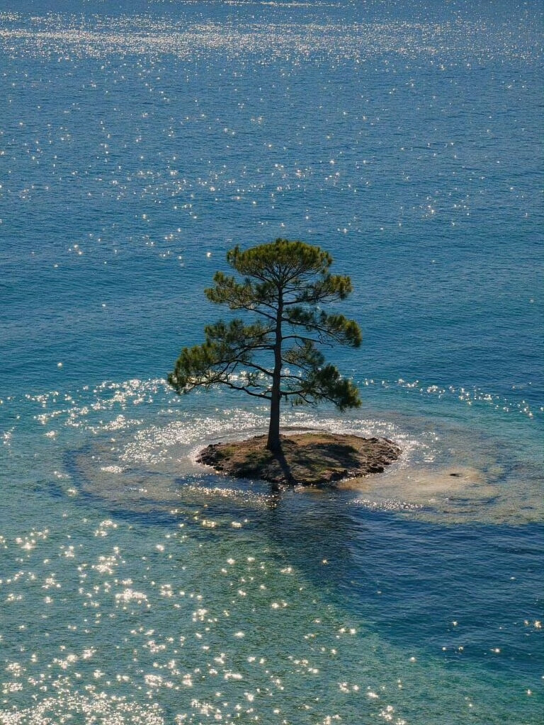 美图