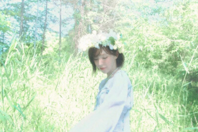 人类为什么会迷恋夏日