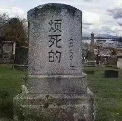 小裤头