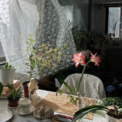 绿色调