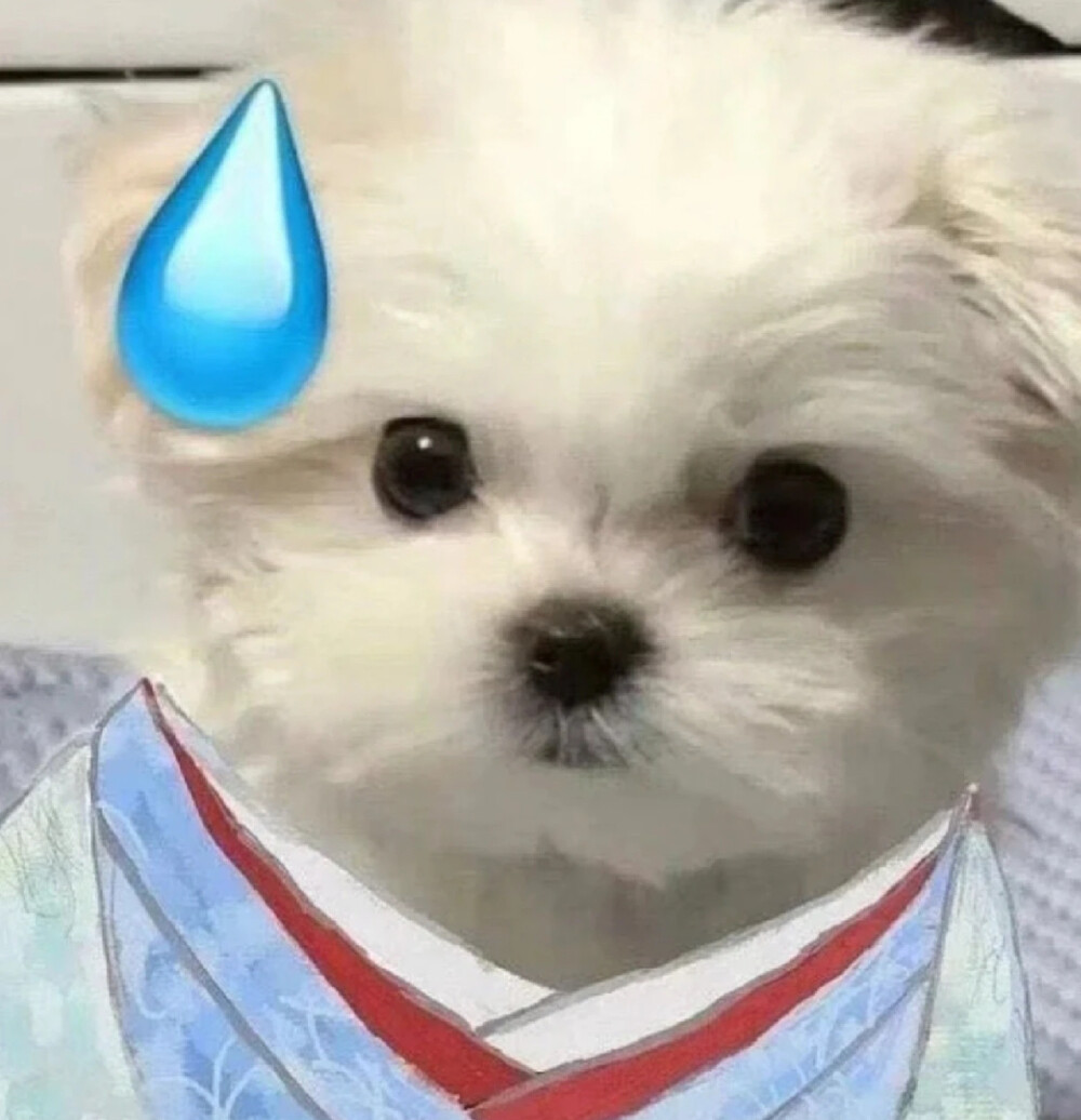 狗狗头像