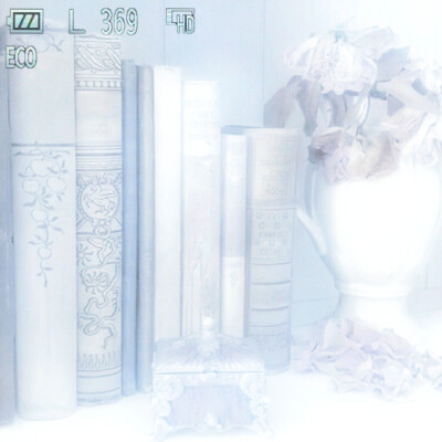 '浅橘色孤岛·Orange clair île(연한 색)'