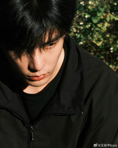 王安宇