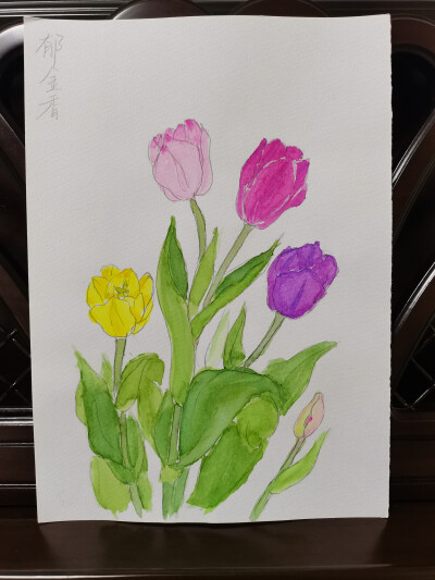 20 郁金香（绘画 | 水彩 | 果花甘03）
2018.6.23
兰陵美酒郁金香，玉碗盛来琥珀光。郁金香，彩虹映夜，又名草麝香、旱荷花、洋荷花、洋水仙。
半开时很像小酒杯，完全开放后远看像一只只小酒碗，是很艳丽的花朵。近…