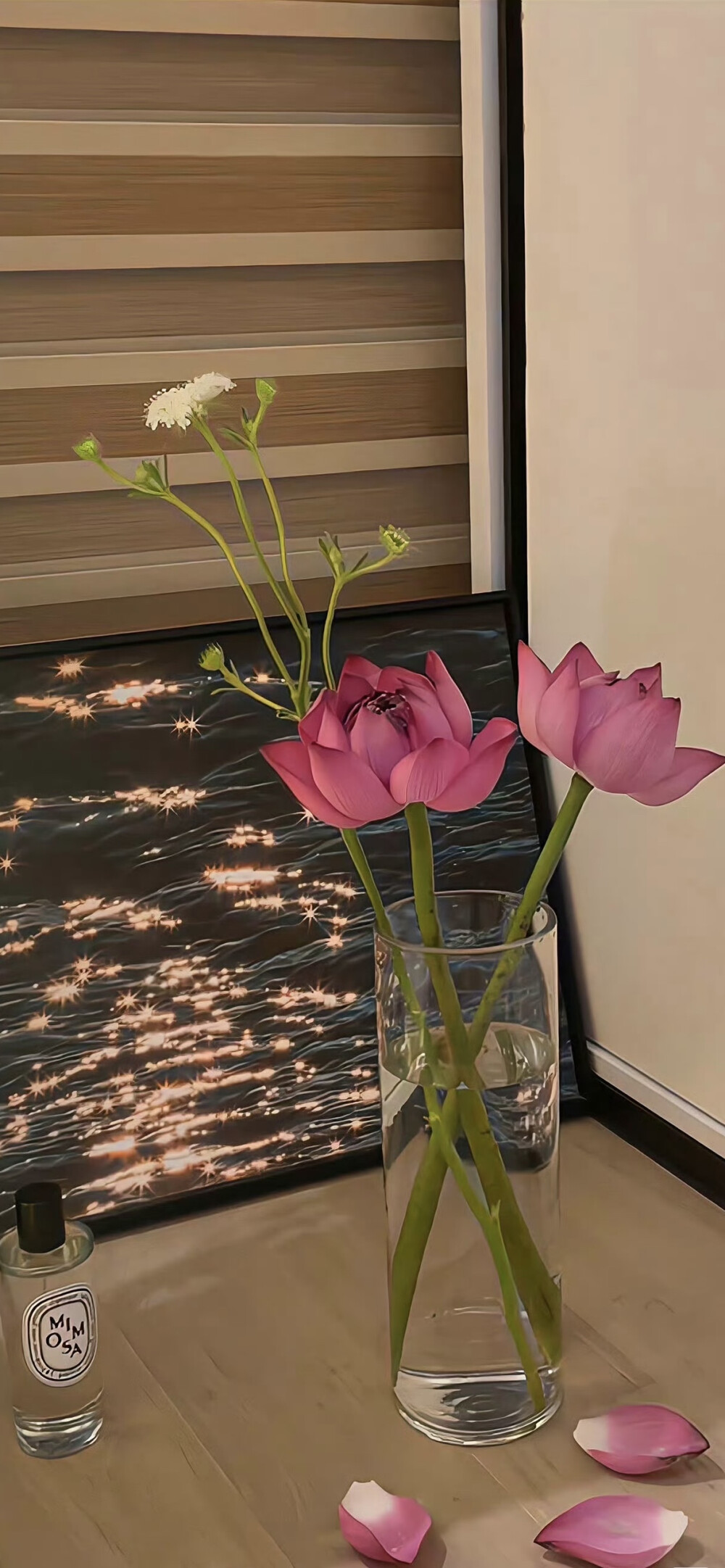 手机壁纸｜聊天背景图