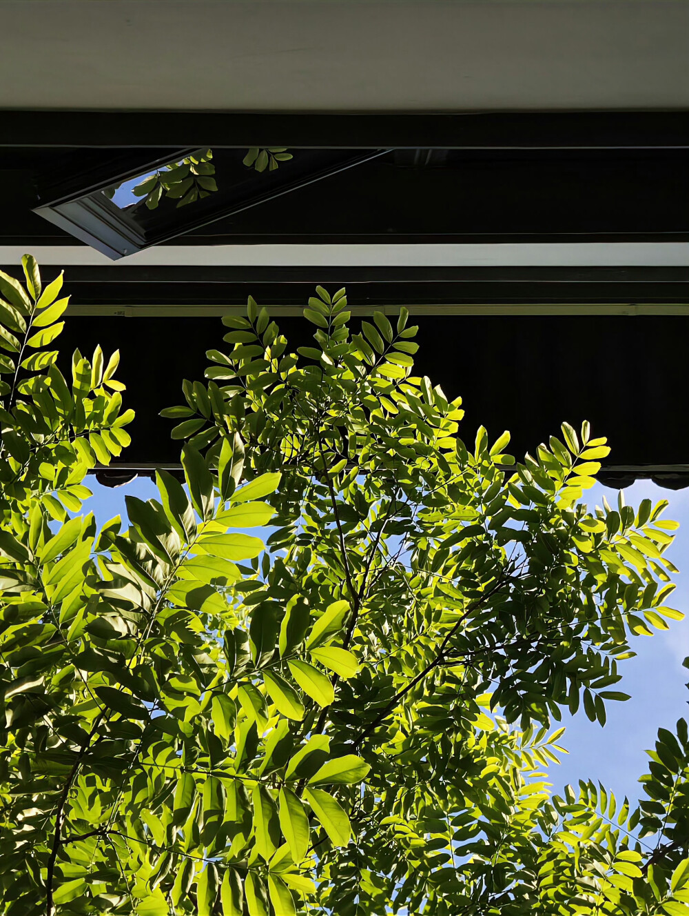 绿色系背景图
禁二转