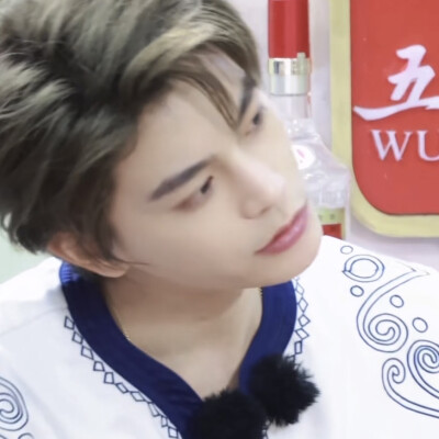 丁禹兮