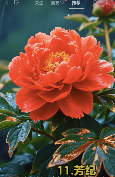 花