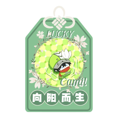 存图