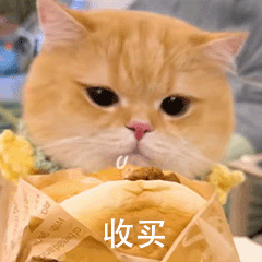 ～