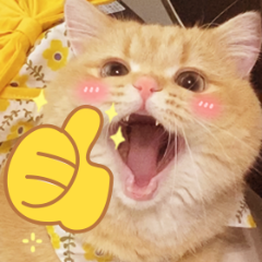 ～