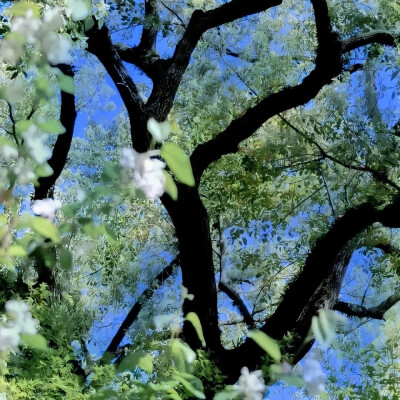 过去的事我们都不再提起