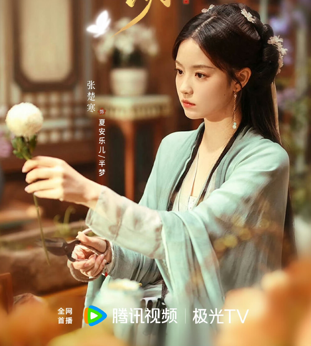 花颜劫
