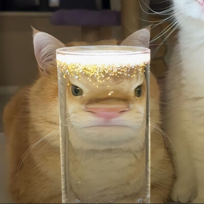情头